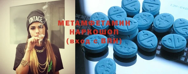 крисы Корсаков