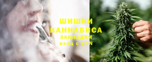 бошки Козельск
