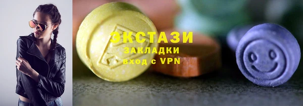 крисы Корсаков