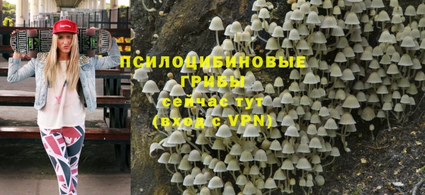 СК Коряжма