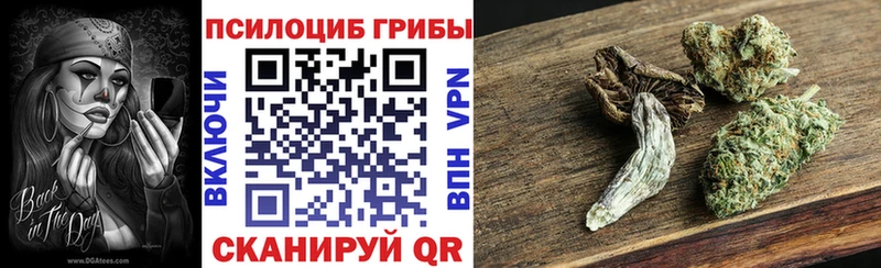 Псилоцибиновые грибы MAGIC MUSHROOMS  площадка наркотические препараты  Кяхта 