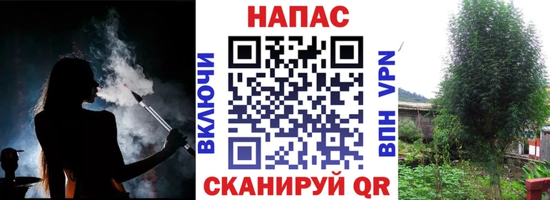 МАРИХУАНА семена  купить  сайты  Кяхта 